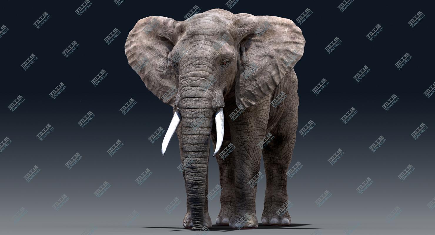 images/goods_img/202104022/Elephant(Rigged) 3D model/4.jpg